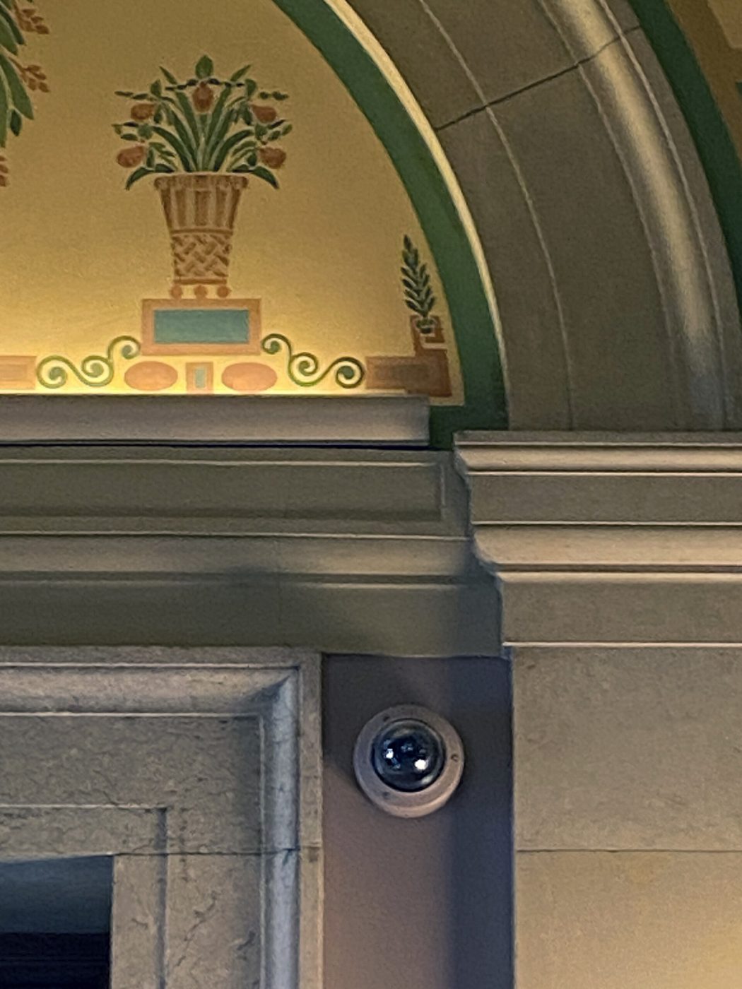 Security Cameras